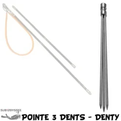 Pointe Vissée 3 Dents Pour Foene POLESPEAR - Denty
